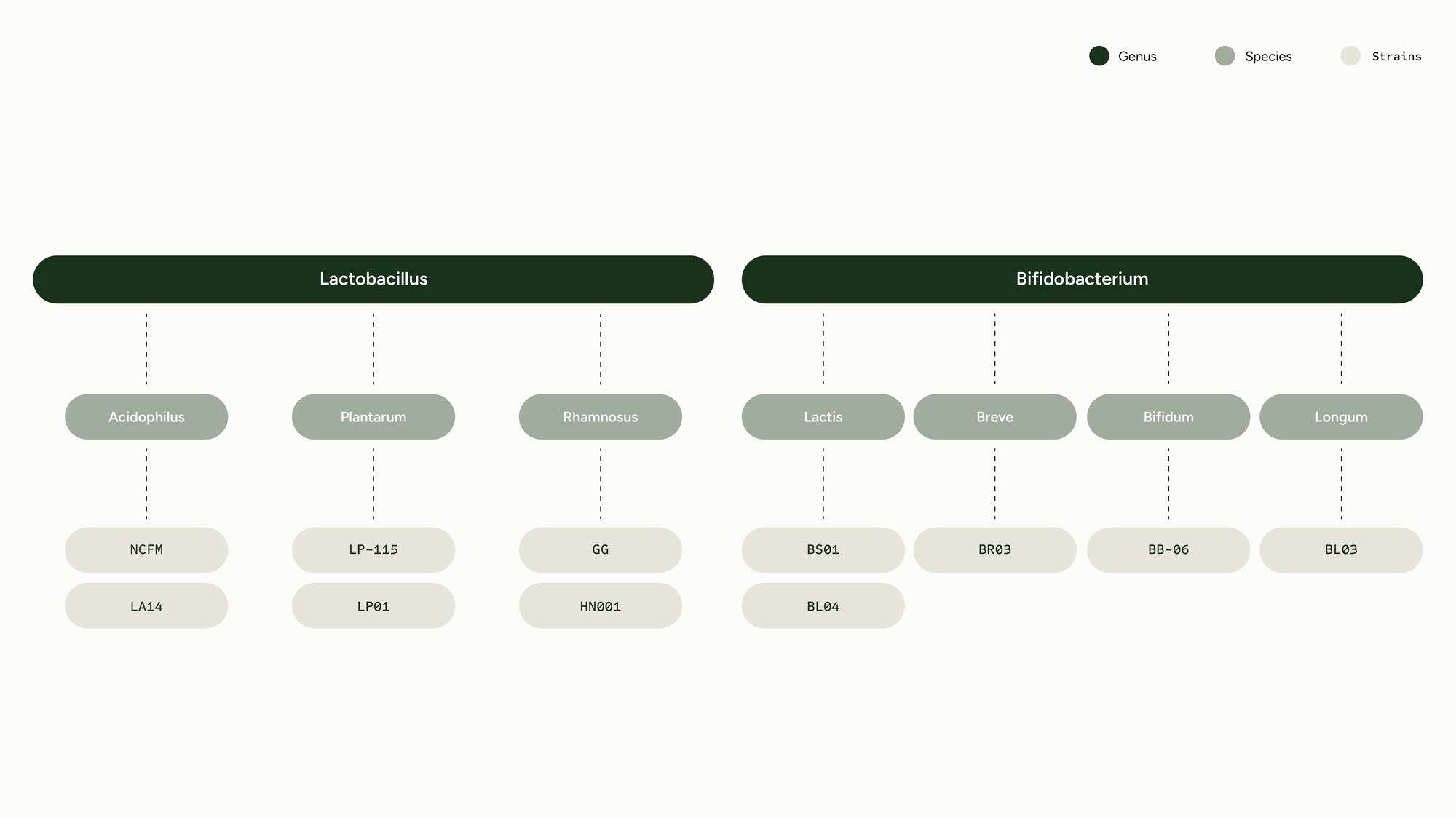 taxonomy desktop image