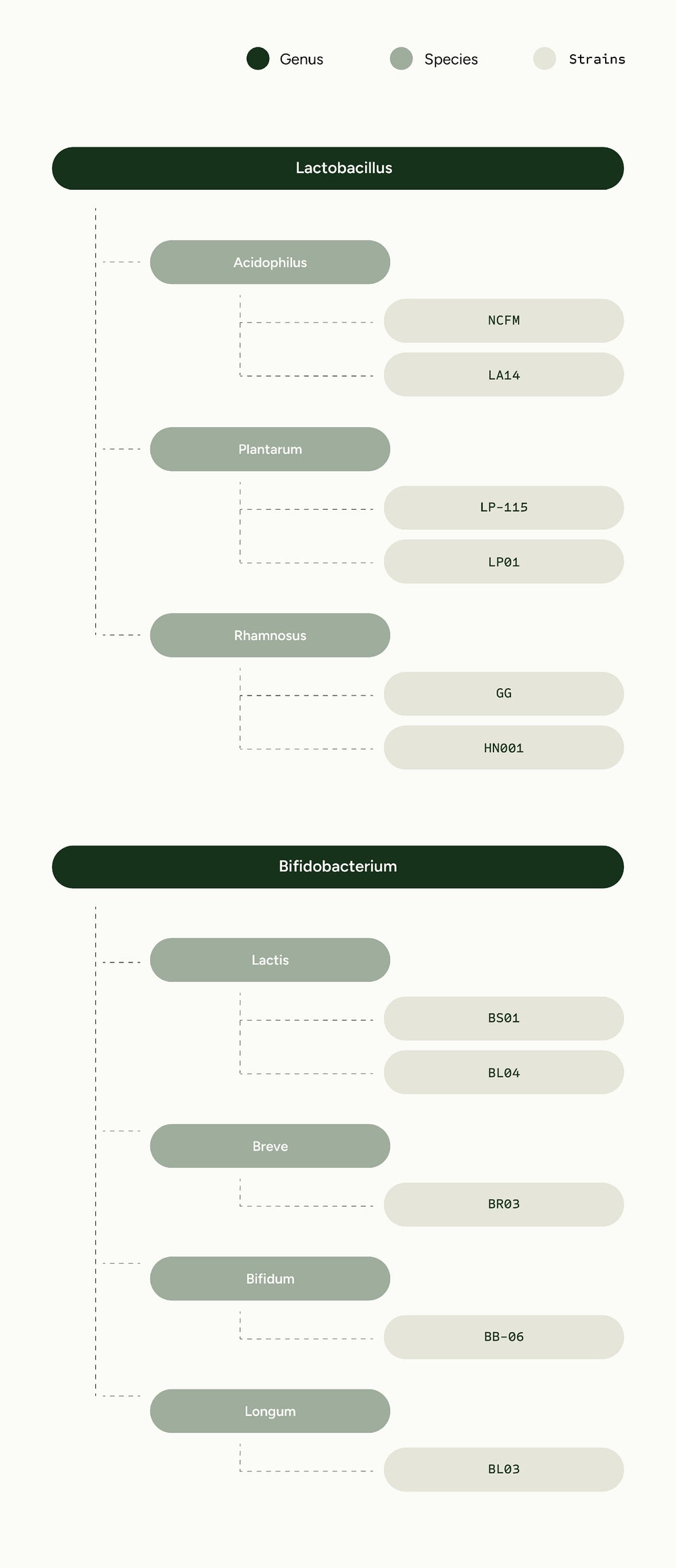 taxonomy mobile image