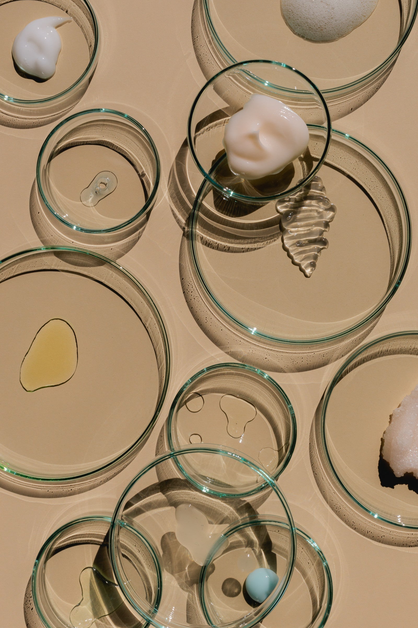 acne and gut health: understanding the gut-skin-immune axis. image