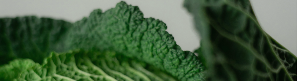 iron: why it matters and how to maximise absorption.