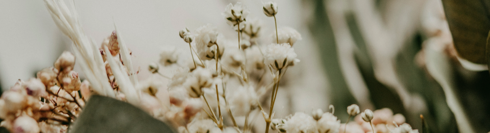 understanding hay fever and the gut connection.