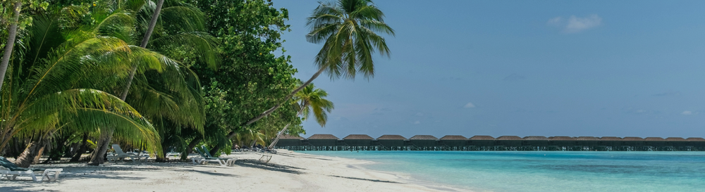 how to protect your gut from traveller's diarrhoea.