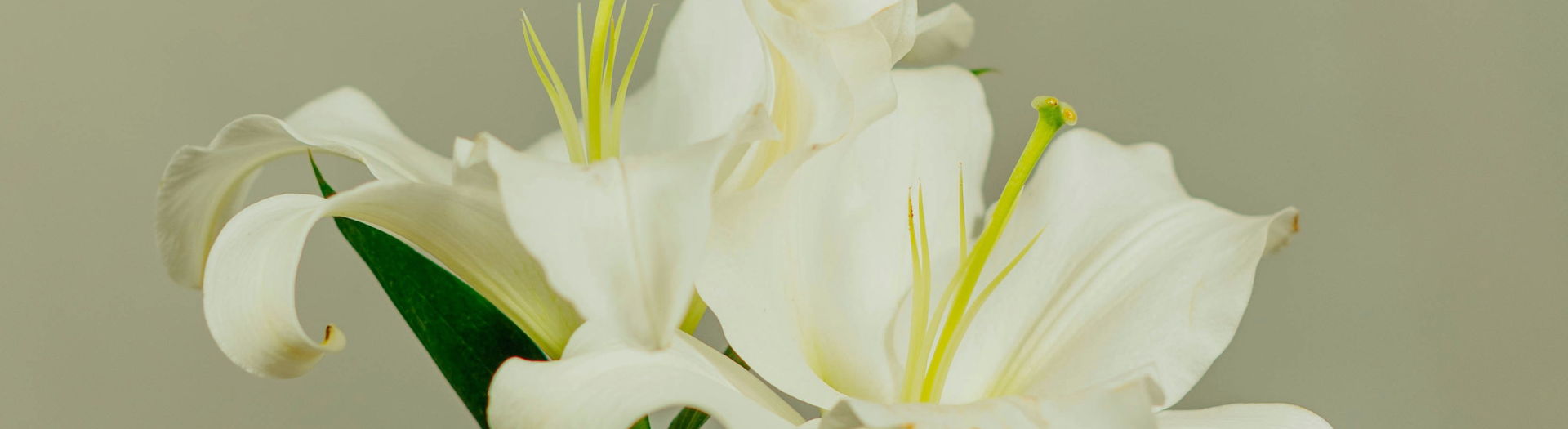 can dysbiosis worsen PCOS symptoms? image