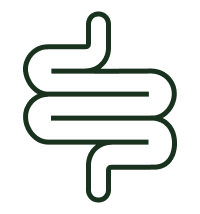digestion